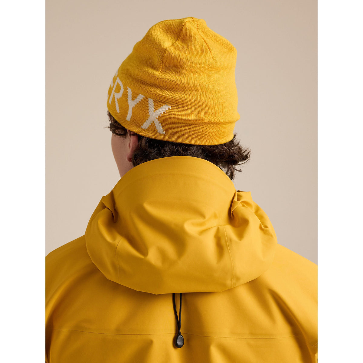 Arc'teryx Word Head Toque